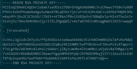 Truncated RSA Example Private Key File