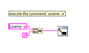 LabSSH Shell Write Uname Command